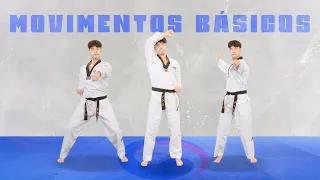 Download Aula de Taekwondo 6 - MOVIMENTOS BÁSICOS MP3