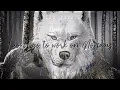 Cody Jinks - Same Kind Of Crazy As Me (Official Lyric Video)