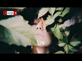 Jeremy Zucker - this time (Lyrics)