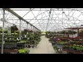 Yard n Garden Land Greenhouse in May