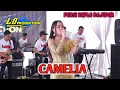 Download Lagu CAMELIA persi bajido  NILAH FAUZISTA LD PRO LIVE SUNTEN JAYA
