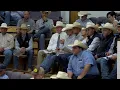 Record Cattle Prices Continue at Northern Livestock Early Summer Special