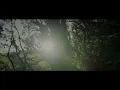 The Album Leaf