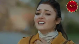 احمد شيبة 2019 القلوب سوداء 