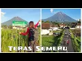 Lagu Teras Semeru/East Java Indonesia