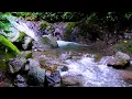 Download Lagu Peaceful Water Flow • Gentle River Sounds for Calm Soul and Good Mood