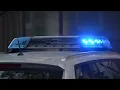 Two bodies found in Brunswick