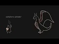 I made a Compiler in 25 Days - Here is what I learned