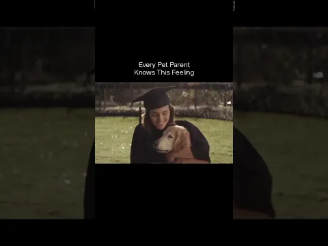 Growing Up With Your Dog A Heartwarming Story | Amazing ad by @Chevrolet  Hats Off