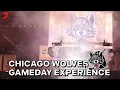 Lagu The Chicago Wolves Gameday Experience | AHL