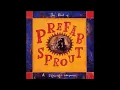 Cars & Girls by Prefab Sprout