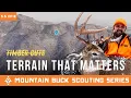 Finding Terrain Features in Big Woods With No Timber Cuts Mountain Buck Scouting Series
