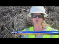 Manatee storm debris cleanup