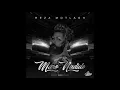 Download Lagu Reza Motlagh -  Maro Nadide