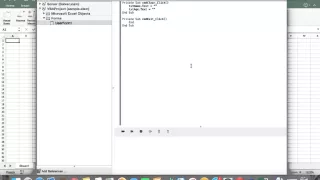 How to Input Name and Age in VBA