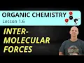Intermolecular Forces Rank Boiling Points 1 6 Organic Chemistry