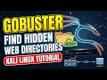 Gobuster in Kali Linux Find Hidden Web Directories Cybersecurity Tutorial