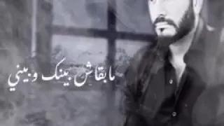 انا مش هخسر كرامتى بس أخسرك عادى ـ تامر حسني 