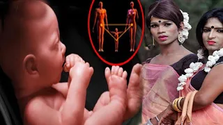  kinnar ke bare me jankari fact about kinnar