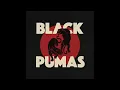 Black Pumas - Touch The Sky (Official Audio)