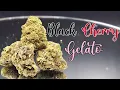 Black Cherry Gelato Strain Review