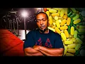 The Rise Fall Of Timbaland