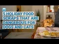 5 Holiday Food Scraps That Are Dangerous for Dogs and Cats