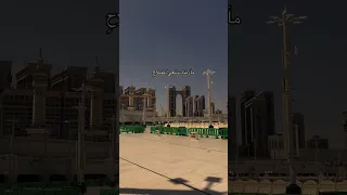الموعد في جنة عدن دندنها