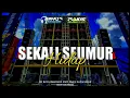Lagu Dj Sekali Seumur Hidup °° Slow Jedag Jedug • Bayu Remixer