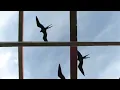 Ganja - Caminando (Video Oficial)