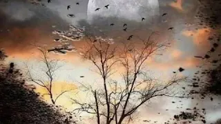 حسين الجسمي وحشتني دنيتي دندنها