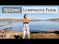Download Lagu QIGONG FOR LYMPHATIC FLOW | SWING ARM QIGONG