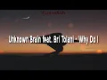 Download Lagu Unknown Brain feat. Bri Tolani - Why Do I (Lyrics)
