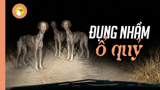 Gặp Ma Thì Cũng SỢ Đấy, Nhưng Gặp Phải Thứ Này Thì... |Quạc Review Phim|