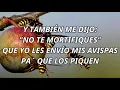 Juan Luis Guerra - "Las Avispas" (LETRA)