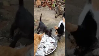 Hili Limeniumiza Sanaa Kpnazebuu Kp Funny Zebuu 