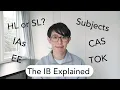 The IB Explained Everything You Need To Know About IB