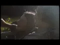 Bad Peter - Tipuana Tree