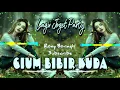 Download Lagu 🍃CIUM BIBIR KUDA🍃LAGU JOGET PARTY TERBARU 2020❗❗❗