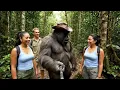 Download Lagu Kisah King Kong yang TAK TERUNGKAP: Petualangan, Komedi \u0026 Keluarga!