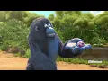 Download Lagu The Jungle Bunch | New Cartoon Show EGGS HUNT | Hindi Cartoon | Episode 29 | Kidz Entertainment