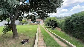 Chácara de 1.200 mts | Senador Amaral MG | Escritura | pomar formado | 5 min da cidade