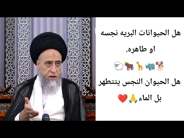 ⁣هل الحيوانات البريه نجسه او طاهره🦏🦒🐂🤔🙏❤||ح3أحكام المطهرات||سيد صباح شبر