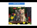 tensorflowjs and javascript image recognition with cocco ssd