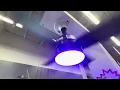 Socket Fan Light For Sale at Home Depot in Kissimmee