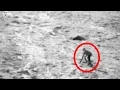 The Goatman The Terrifying Half-Goat Half-Human Creature Mini-Documentary