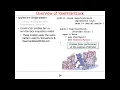Structure Functionality of Java ReentrantLock