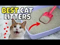 The Best Cat Litters of 2025 According to Experts