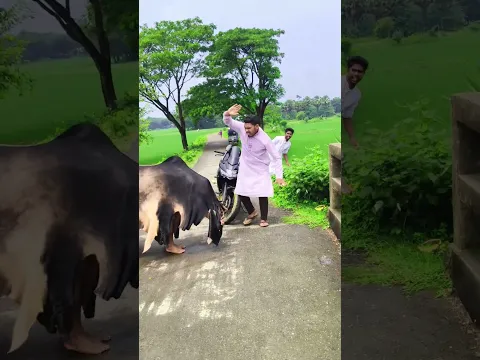 Look, the cow didn't start the car.