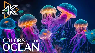 The Ocean 4K - Captivating Moments with Jellyfish and Fish in the Ocean - Relaxation Video #2